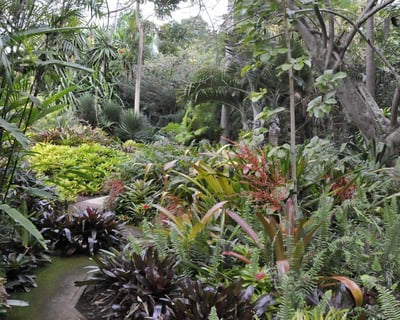 Self-Guided Garden Tour in Hakalau