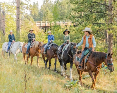 Guided 1-Hour Horseback Trail Ride in Black Hills