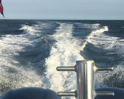 Support Boat Charter in New York Harbor