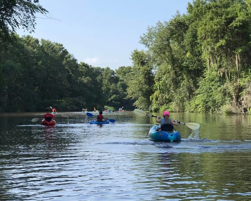 2-Mile Kinchafoonee Creek Kayak & Canoe Trip in Albany, GA