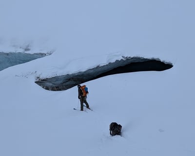 Canwell Glacier 8-10 Hour Guided Hike
