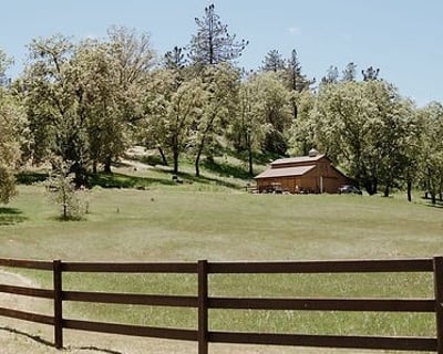 Historical Horseback Ride in Julian