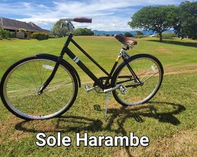 2-Hour Single-Speed Bike Rental in Koloa