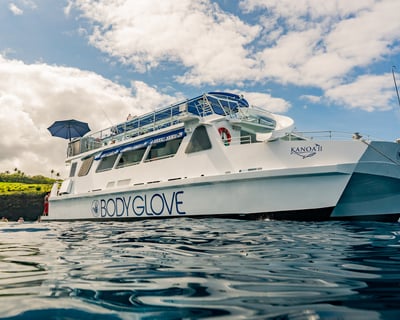 Kona Deluxe Snorkel and Dolphin Watch Cruise