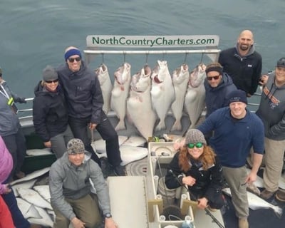 7-Hour Homer Halibut Fishing Charter