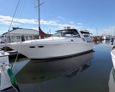 Cruise Charleston Harbor on a Private Yacht Charter