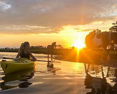 Sunset Guided Kayak Tour of Assateague