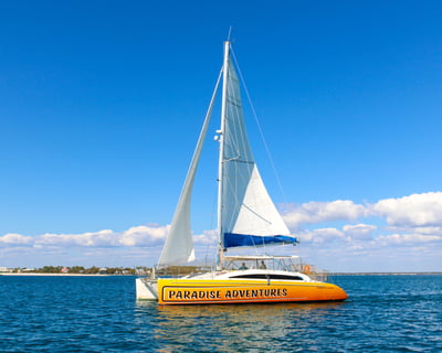 Dolphin Sightseeing Catamaran Cruise In Panama City