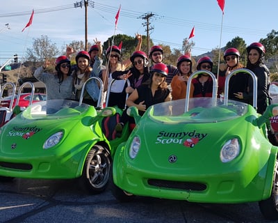 Los Angeles Guided Mini-Car Tour