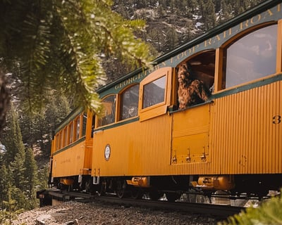 Sasquatch Adventure Train Ride in Georgetown