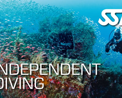 3-Day Independent Diving Course in Ramrod Key