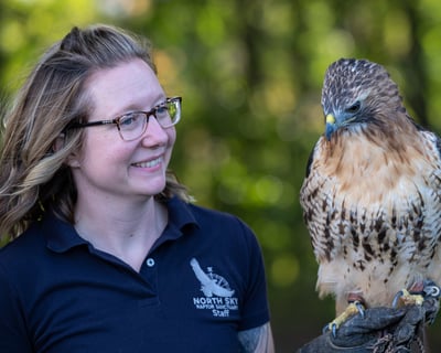 Cruise West Bay With Raptors in Traverse City