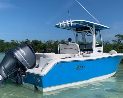 Explore Key West on a 4-Hour Sandbar Charter