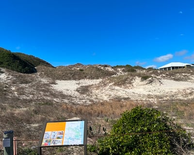 Amelia Island Black History Guided Tour