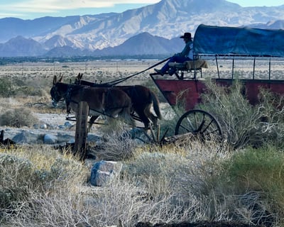 Covered Wagon Adventure Tour With BBQ