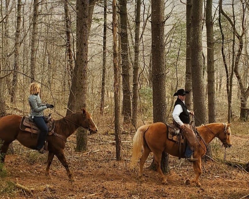 1-Hour Guided Horseback Ride at Devils Backbone Brewery