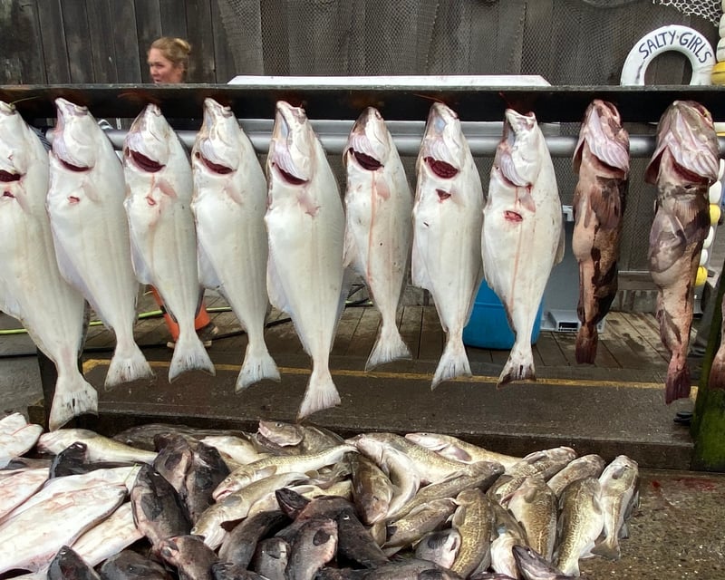 Multi-Species Fishing Charter in Homer