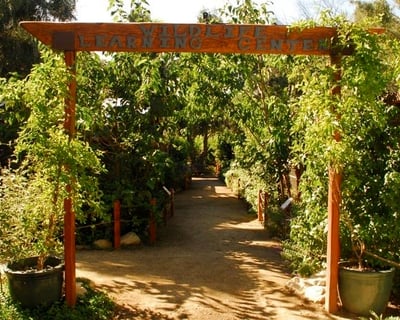 Self-Guided Animal Viewing Tour in Sylmar