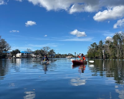 Homosassa Springs Winter Manatee Clear Kayak Tour
