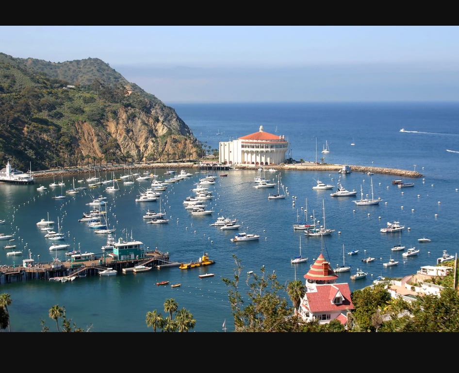8-Hour Catalina Escape: Wildlife, Wine & Captain