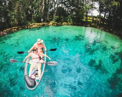 Clear Kayak Three Sisters Springs & Manatee Tour