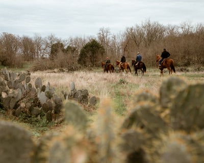 Austin Evening Guided Horseback Riding Lesson