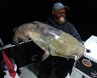Saint Joseph After-Dark Catfish Fishing Charter