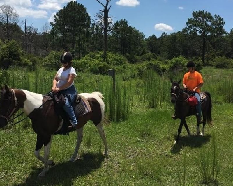 Old Florida Horseback Trail Ride in Lake Panasoffkee