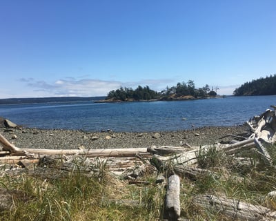 Full-Day Guided Kayak Tour in Friday Harbor