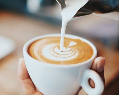 Cozumel Coffee Tasting Tour