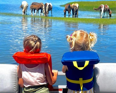Chincoteague Pony & Bird Watching Boat Tour