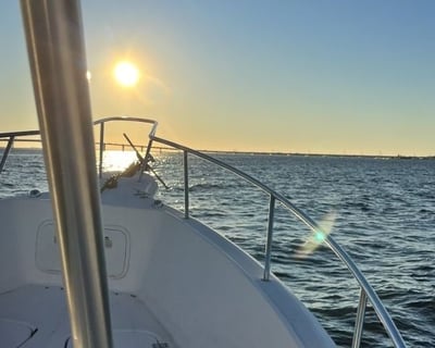 Pensacola Sunset Dolphin Cruise