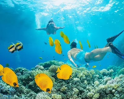 Snorkeling Tour of John Pennekamp's Two Reefs