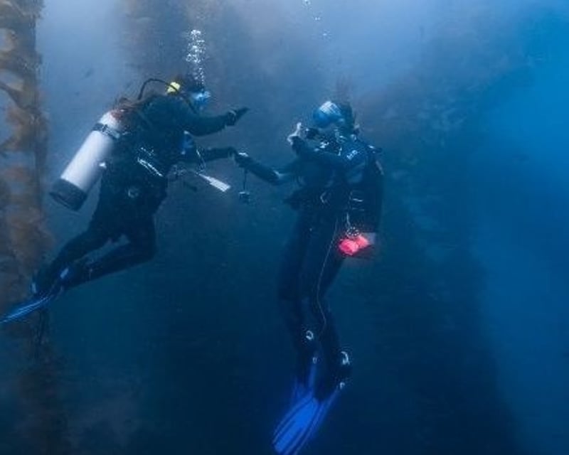 Beginner Scuba Dive at Casino Point, Catalina Island