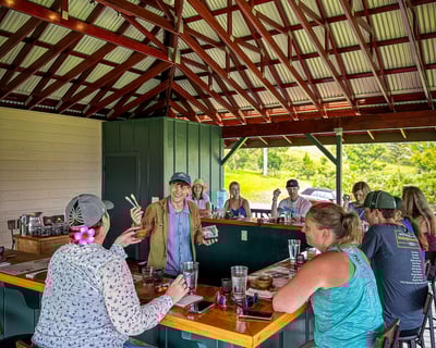 Cacao Farm Tour & Chocolate Tasting in Hilo