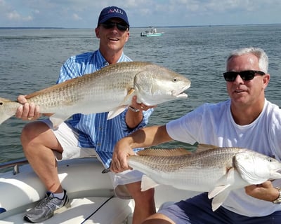 Hilton Head Island 4-Hour Fishing Charter