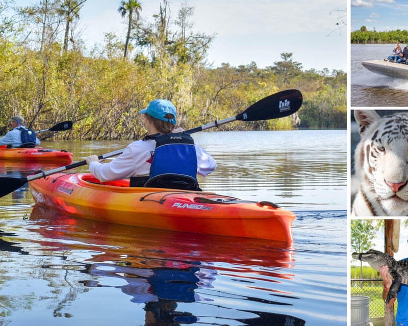Everglades City Kayak & Airboat Tour