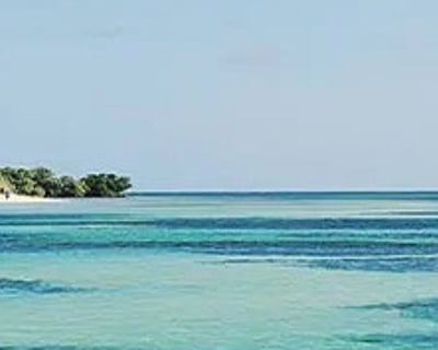 5-Hour Key West Sandbar Charter