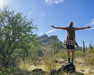 Scottsdale Desert Guided Hike in McDowell Mtns