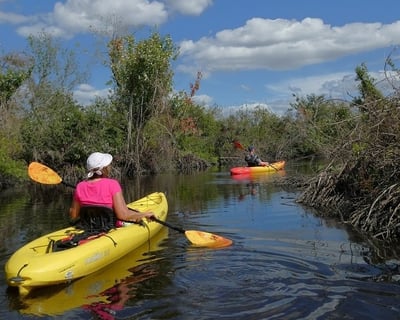 Guided Peace River Swamp Kayak Tour