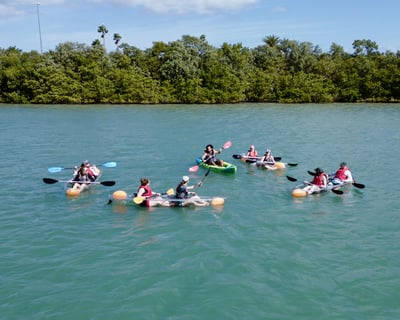 Private Clear Kayak Tour in Clearwater