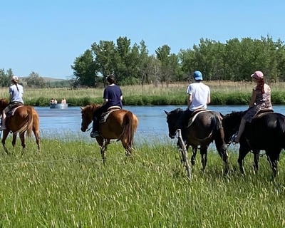 Ride a 1-Hour Horseback Trail Ride in North Platte