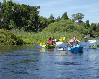 Guided Kayak Tour on the Wekiva River