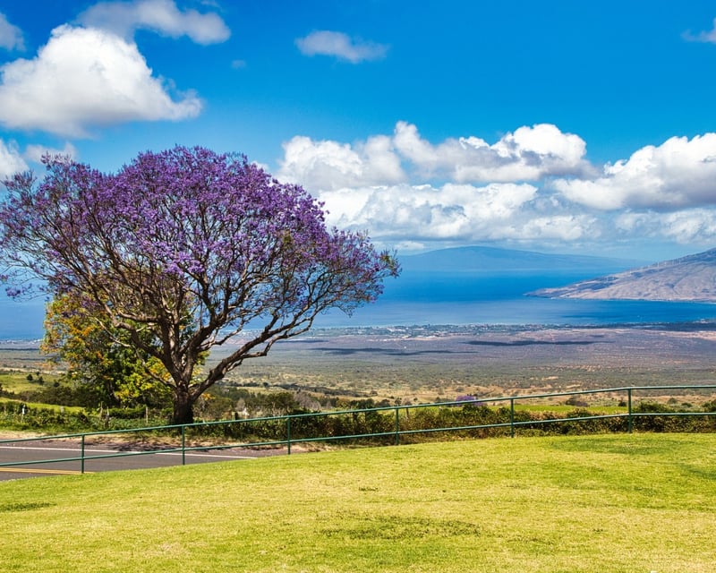 Small-Group Upcountry Maui Tour with Goat Dairy & Paia