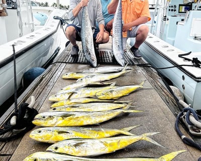 Fish on a 4-Hour Shared Charter in Fort Lauderdale