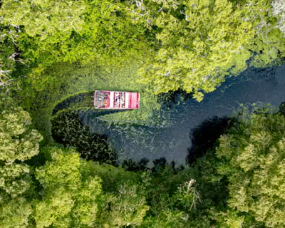 Lake Panasoffkee Airboat Tour & Wildlife Viewing