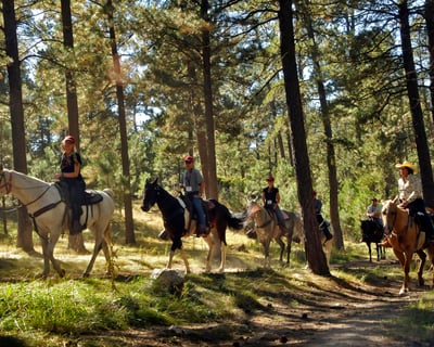 Half-Day Horseback Trail Ride with Lunch