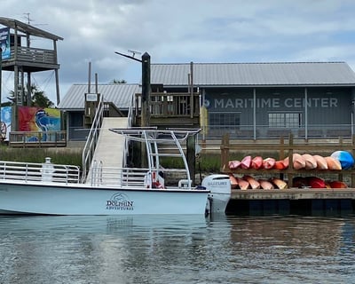 Cruise Port Royal Sound on a 90-Minute Eco Tour