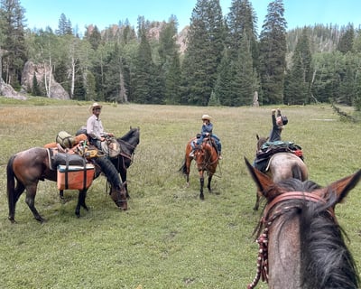 Full-Day Horseback Trail Ride in Southern Utah