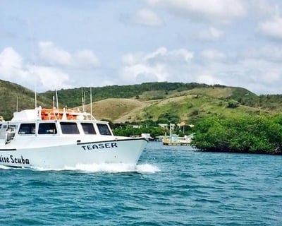 Bioluminescent Bay Snorkeling Tour in La Parguera